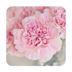 CARNATIONS PINK AND RED COASTERS U PICK SET SIZE