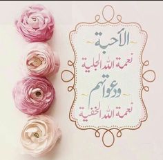 من جديد❤ومن القلب - صفحة 21 14ae799450dfa2f251f63ee537b58e8d