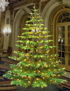 Beautiful Artificial Noble Fir Tree For The Holidays Beautiful Artificial Noble Fir Tree For The Holidays