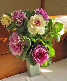 ornamental kale bouquet using purple and white varieties... Цветочные Композиции, Красивые Цветы, Садовые Ангелы, Прованские Розы, Посадка Цветов, Сады, Цвета, Овощной Огород, Центральные Украшения