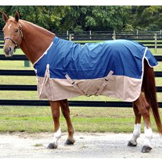 centaur dont shoot turnout sheet 81in by centaur 46 24 bright centaur turnout sheet