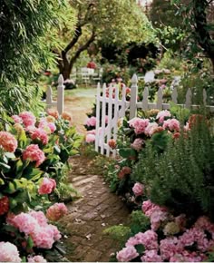 Beautiful English Flower Garden cottage garden cool | english countryside, gardens and garden gate Beautiful English Flower Garden cottage garden cool | english countryside, gardens and garden gate