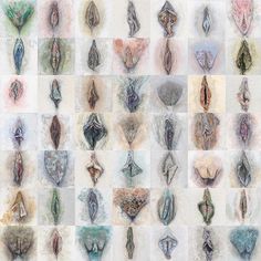 49 Vulvas On A Saturday Morning I Commit To Spending The Rest Of My Life 49 Vulvas On A Saturday Morning I Commit To Spending The Rest Of My Life
