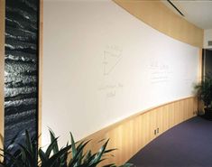 erase dry covering baresque presentation walls mirror decoration decor google