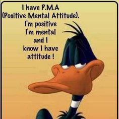 166d34ba210bedbc149cfab23ba74c25--daffy-duck-funny-things.jpg