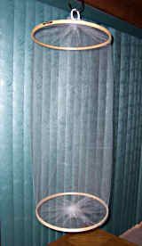 Erfly Display Cage Science Pinterest Erfly Display Cage Science Pinterest And