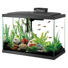 608 best aquariums images