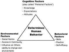 cognitive learning theory
