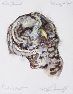 ACEO Great Horned Owl Bird Art PRINT of Painting VERN