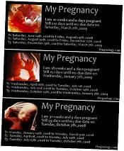 pregnancy calendar due date day by day