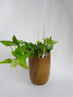 Hanging Planter Handmade Ceramic Brown By ViCeramics Hanging Planter Handmade Ceramic Brown By ViCeramics