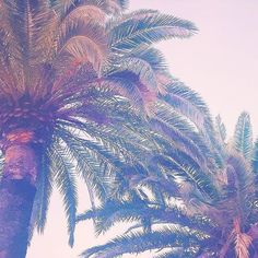 Site de rencontres comme lovoo picture 9