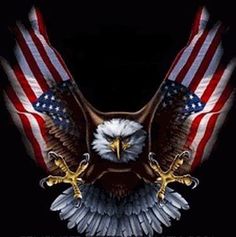 pic Iphone Badass American Eagle Wallpaper american flag