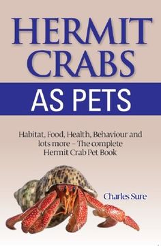 40 best hermit crabs