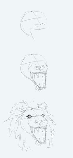 how to sketch a lion step 6 art diy cleaning organizing