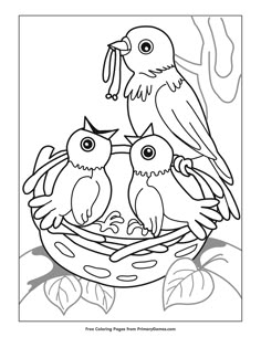 Download Printable Spring Coloring Pages | Spring coloring pages ...