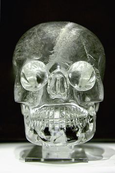 Indiana jones and the kingdom of the crystal skull le temple perdu de Akator