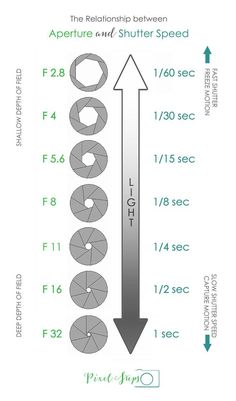 Need some photography Tips? Get your Exposure cheat sheet - Camera Exposure Meaning in Plain English - Learn the definition of exposure, how… Digital Macro Photography, Photography Settings