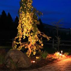 Find This Pin And More On Outdoor Lighting By Omarabuhamda Find This Pin And More On Outdoor Lighting By Omarabuhamda