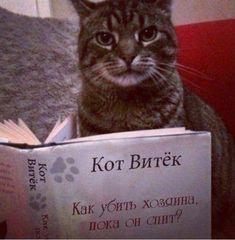 Интересные Прикольные Фото Интересные Прикольные Фото