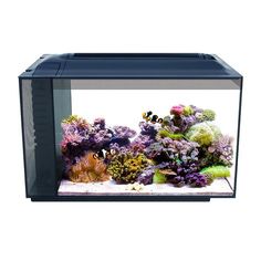 55 best mark reef