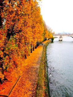 148 Best Fall Vacation Adventures Images On Pinterest Beautiful Here Are The Top Five Destinations On Fall Travelers S Bucket List From Northern