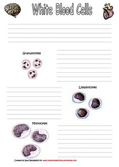 Blood types body types and you pdf