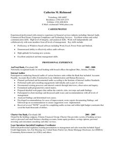 senior auditor resume