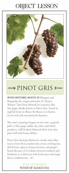 8 Pinot Gris Ideas Pinot Gris Pinot Wine Recipes