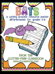 bats in the library lesson plans bat activities