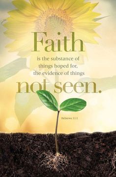 Faith Is Substance Things Hoped For Evidence Things Not Seen License Plate Frame