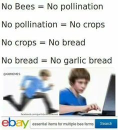 flirting meme with bread without bread mix for a flirting meme with bread without bread mix for a