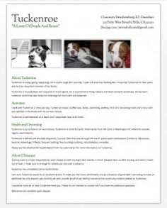 7 best pet resume