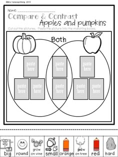 pumpkins everywhere and making connections venn diagrams diagram apples and pumpkins venn diagram