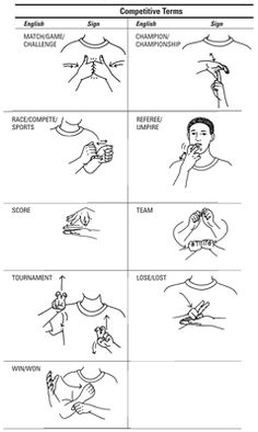 Baby sign language essay