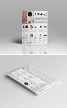 skyberry studio portfolio denver colorado skyline for strideline seattle flyer printing