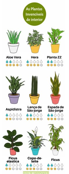 Plantas de interior que são invencíveis. Esses são 9 exemplos de plantas que você pode ter dentro de casa, pois são extremamente difíceis de matar. #plantasfaceisdecuidar #plantasinvenciveis #aloevera #babosa #hera #plantazz #aspidistra #lançadesaojorge #ficus #espadadesaojorge #copodeleite Organic Gardening, Planters, Aquaponics, Aquaponics System, Indoor Plants, Ficus, Garden Plants