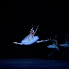 Never Underestimate The Power of MARIANELA PF
