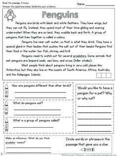 21 reading comprehension worksheets for grade 3 pdf grade reading preh reading comprehension passages reading comprehension worksheets comprehension worksheets