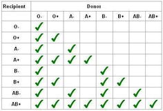 blood type chart facts and information on blood group blood group chart