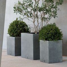 31 Besten Bilder Von Unser Gartendesign In 2018 Modernes Frei
