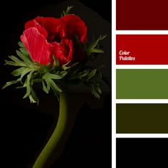 alizarin red color burgundy color color combination for interior decoration color combinations - Matching Colors With Red alizarin red color burgundy color color combination for interior decoration color combinations - Matching Colors With Red