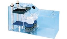 28 best angelfish aquarium