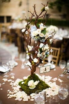 55 best wishing tree or tree centerpiece images on pinterest tree