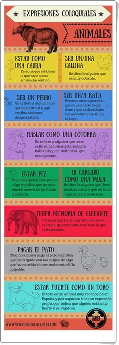 expresiones con animales spanish lesson