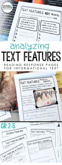 Expository essay facts