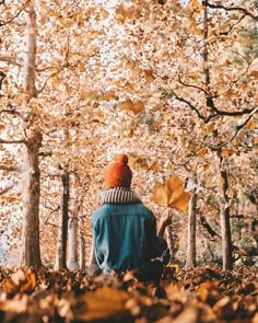 Image result for fall aesthetic