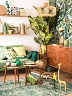 Green jungle wallpaper | Home decor | Pinterest | Jazz, Wallpaper ... Green jungle wallpaper | Home decor | Pinterest | Jazz, Wallpaper ...