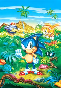 369 Best Sonic The Hedgehog Images Videogames Hedgehog Hedgehogs