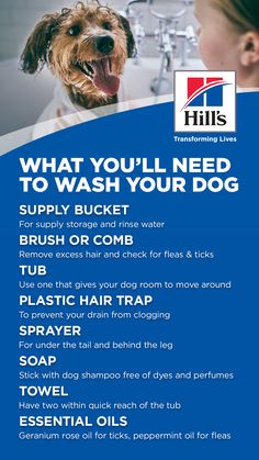 Washing Your Dog 8 Supplies You Should Have In 2020 Hybrid Tea